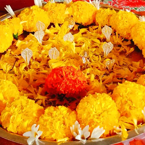 कालसर्प दोष निवारण पूजा त्र्यंबकेश्वर
